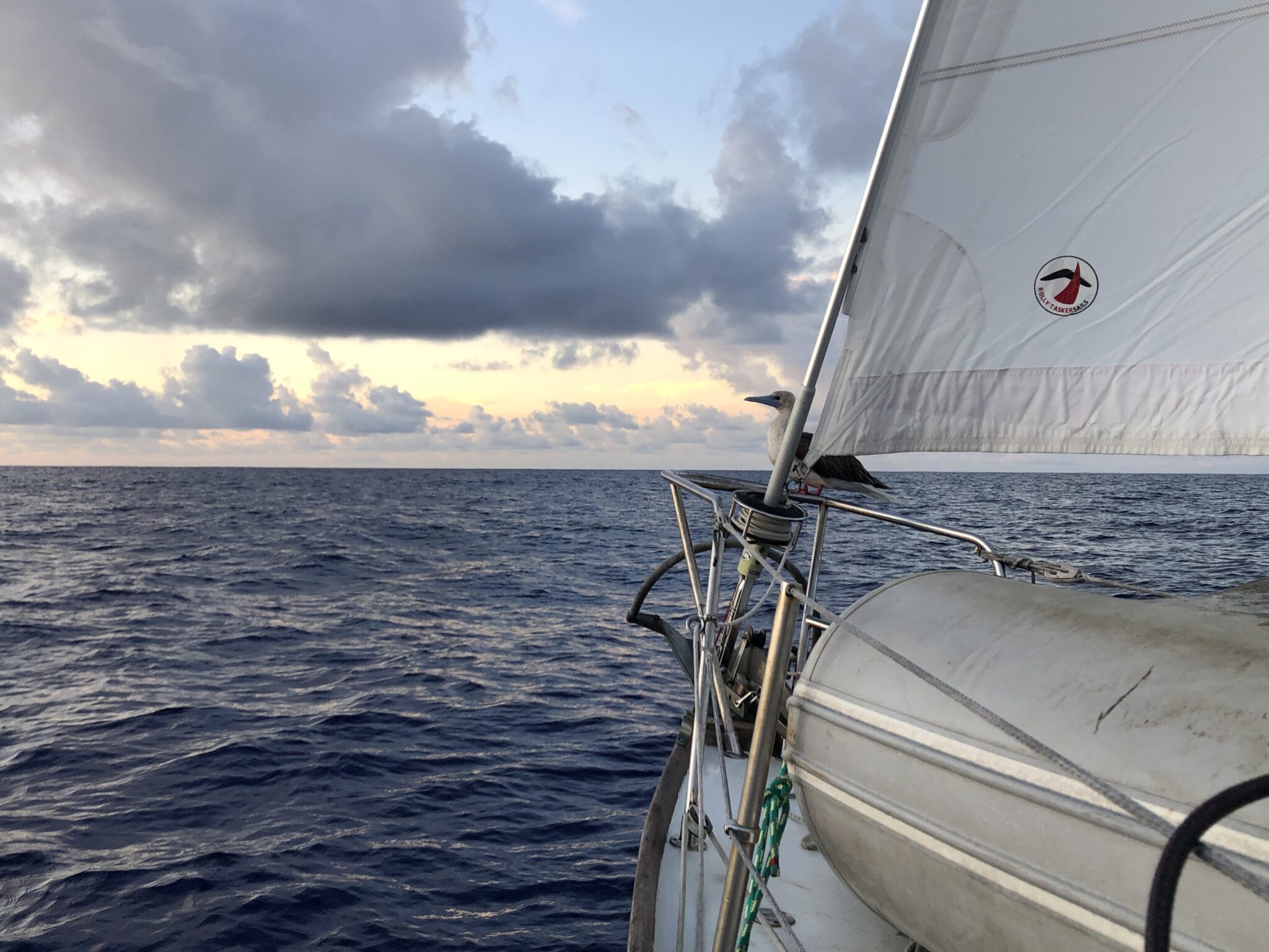 Videokritik James Frederick, Sailing Triteia Literaturboot