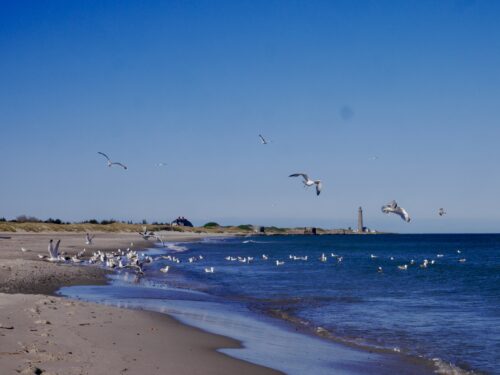 Über Skagen und über Helgoland - Literaturboot - Blog, Reisen, Reviere & Häfen