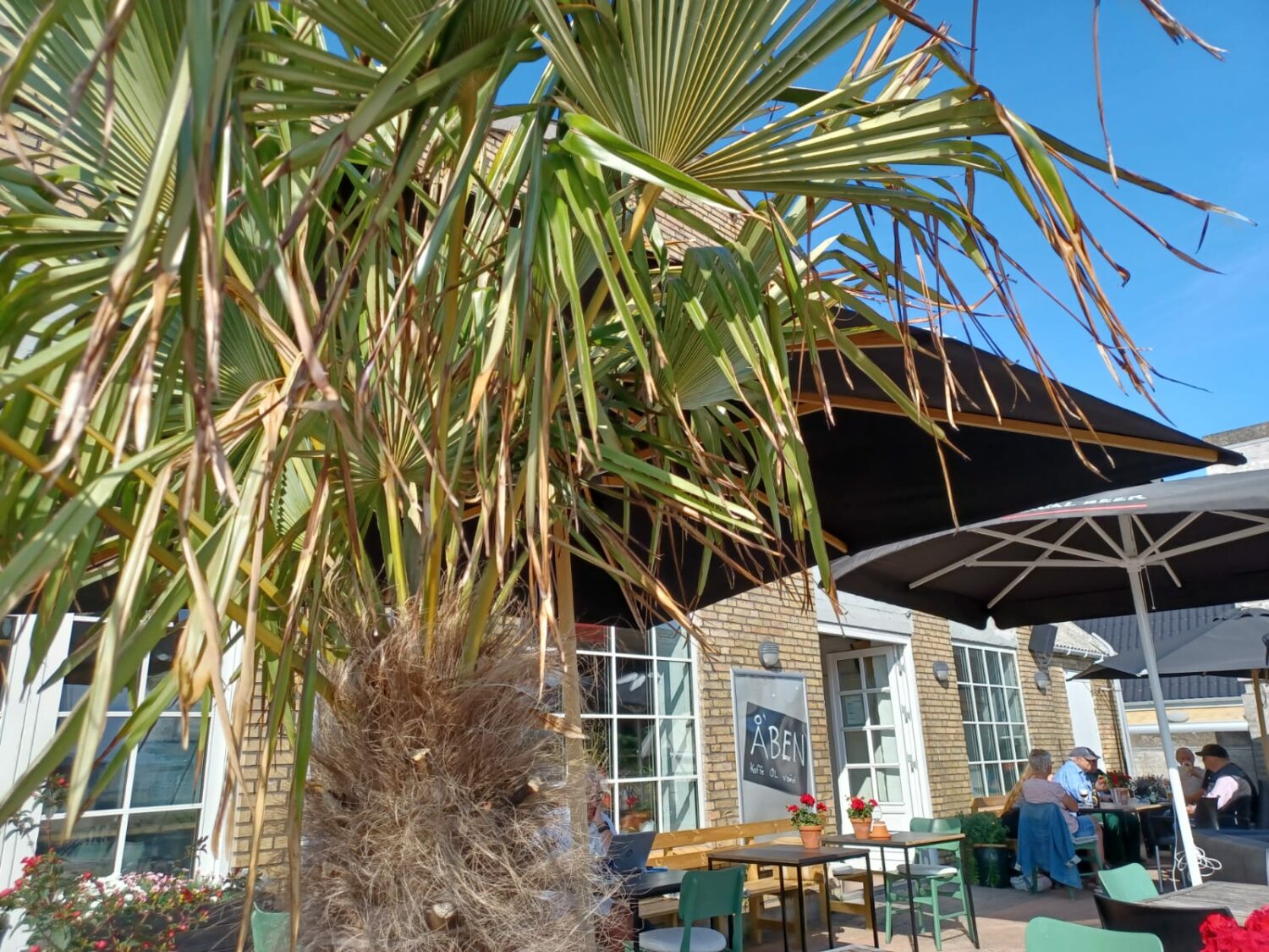 schönes leben café und weinbar