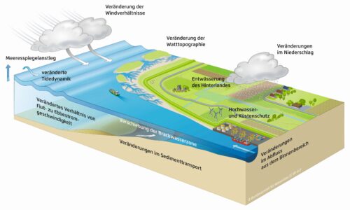 Die Küste im Klimawandel: Mehr Sturmfluten in Deutscher Bucht - Literaturboot - Alles (un)mögliche, Blog