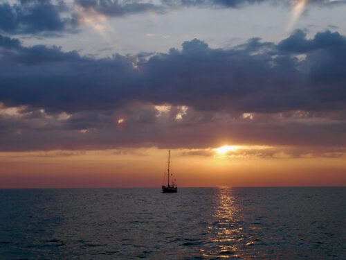 Kurs Cannes - die "Reise des Buches" - Literaturboot