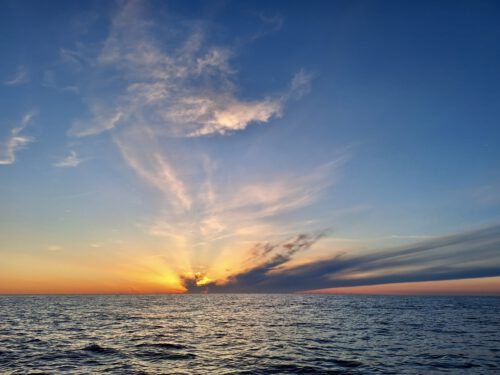 Kurs Cannes - die "Reise des Buches" - Literaturboot