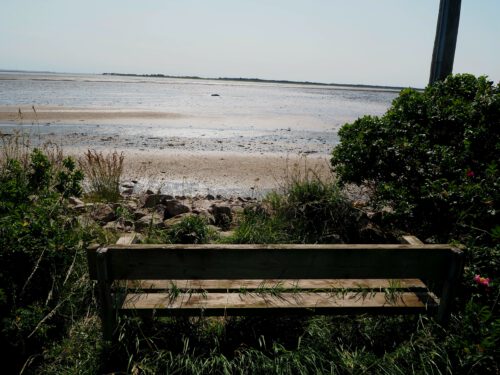 Fanø, die Insel der Seeleute und Schiffsbauer - Literaturboot