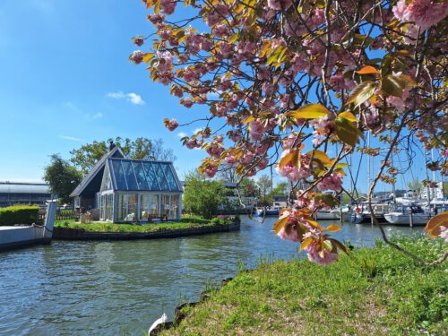 Kurs Cannes - die "Reise des Buches" - Literaturboot