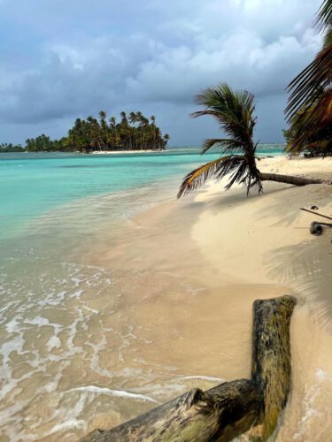 Weltumsegelung damals und heute - Literaturboot