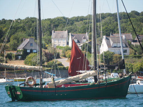 Schneller, Propeller! - Literaturboot